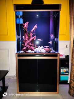 (Category: ) located in . Submitted by a_mad8 (Listing ID 1249114282, Image 1). Description: .
