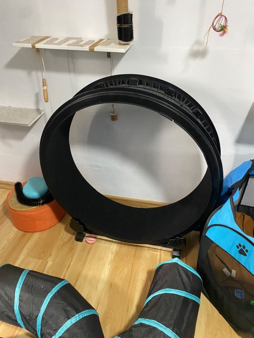 Big cat deals wheel