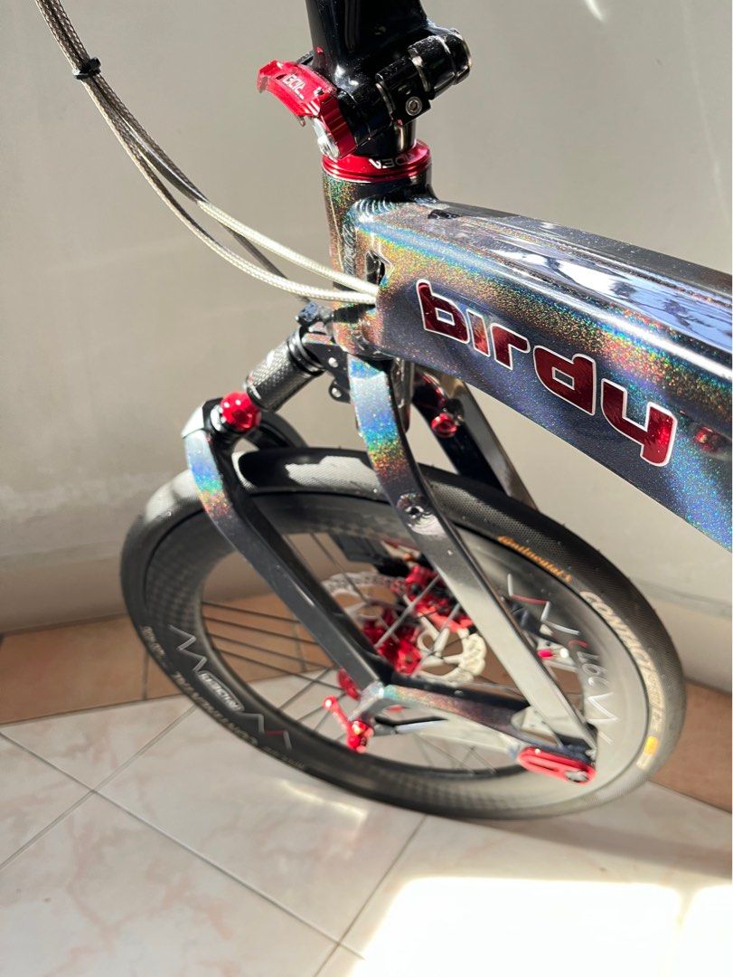 Birdy GT (10 speed Shimano Tiagra), Sports Equipment, Bicycles & Parts