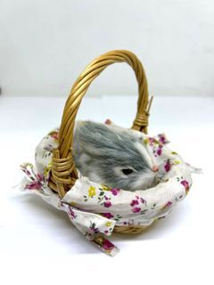 Bunny in a Basket (bunny 3 inches length)
