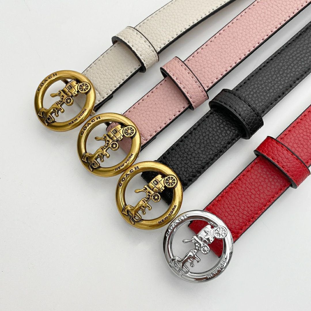 horse and carriage belt coach