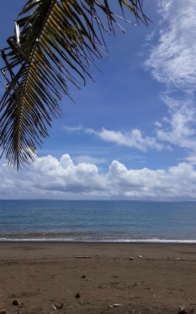 Dinahican, Infanta Quezon, Property, For Sale, Lot on Carousell