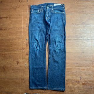evisu selvegde tahun 2008