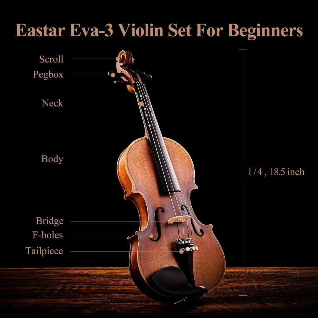 Violin　Rest,　EVA-3)　Musical　Fiddle　Guide　Rosin,　Instruments　Finger　Music　Set　Shoulder　Toys,　on　Media,　EASTAR　Case,　Bow,　Brand　Beginners　(Imprinted　with　Hobbies　Fingerboard,　on　for　Hard　Carousell　FREE　DELIVERY)
