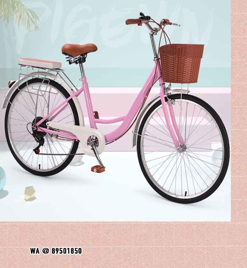 Ladies traditional bike shop