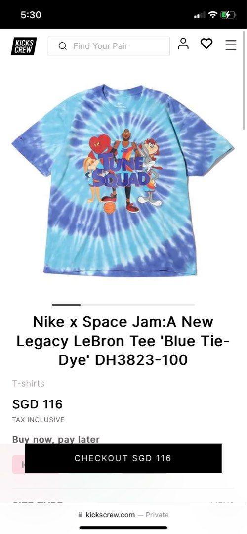 space jam t shirt nike