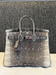 Hermes Birkin 25 Handbag Ombre Lizard SHW