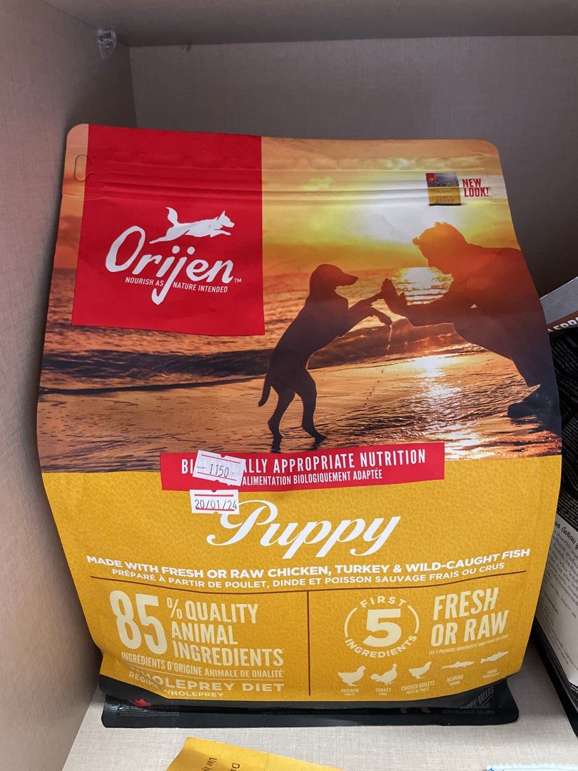 Orijen puppy, Pet Supplies, Pet Food on Carousell