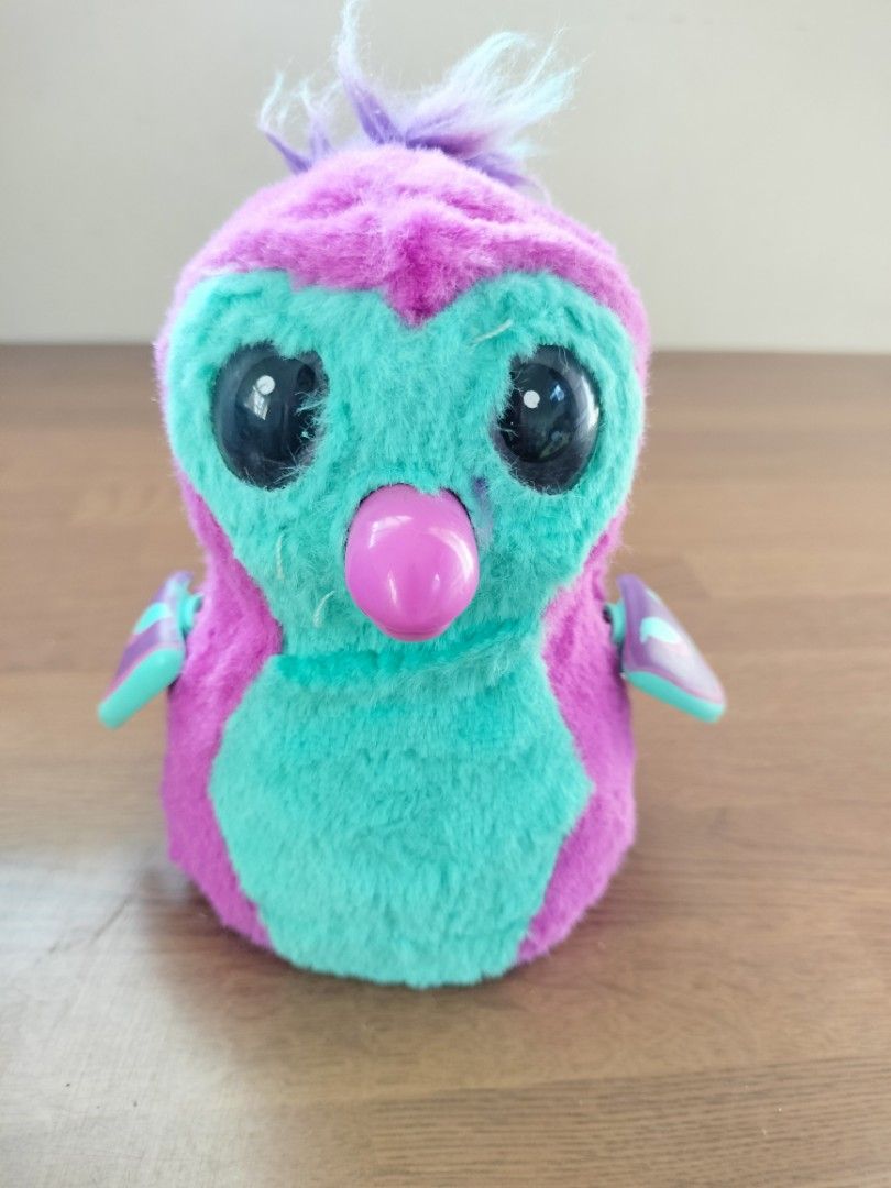 Spin Master HATCHIMALS BEARAKEET BIRD RARE Hobbies Toys Toys Games on Carousell