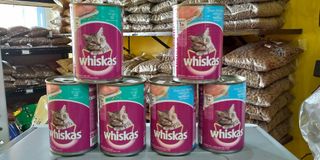 (Category: ) located in . Submitted by commonwealthpetshop (Listing ID 1249121273, Image 1). Description: .