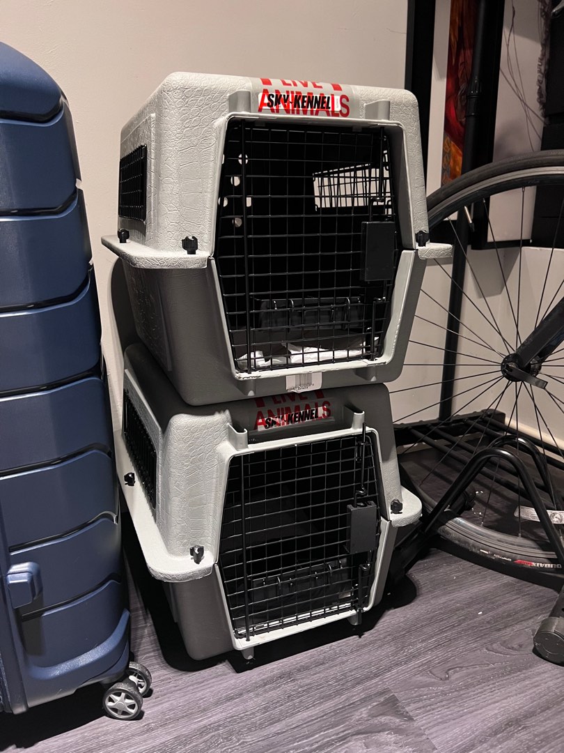 Airline approved crates, Pet Supplies, Homes & Other Pet Accessories on