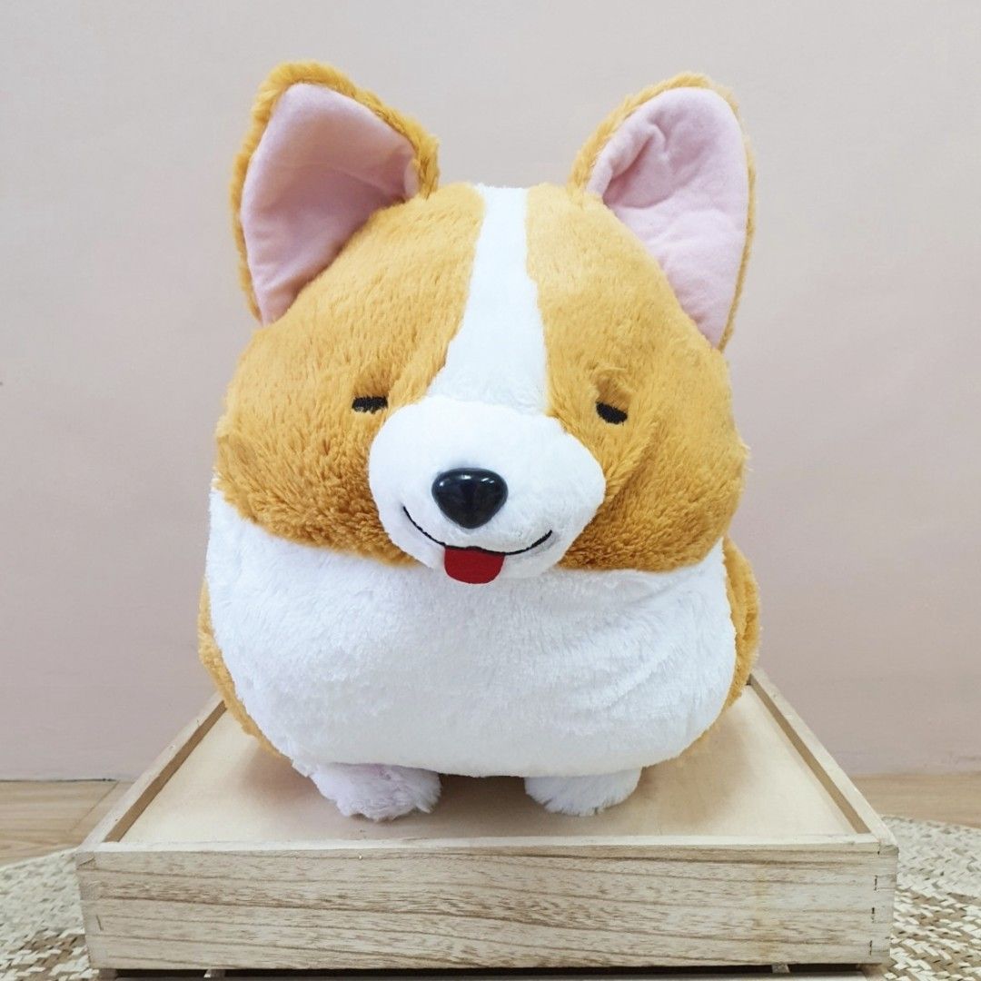 Ichi ni no corgi discount