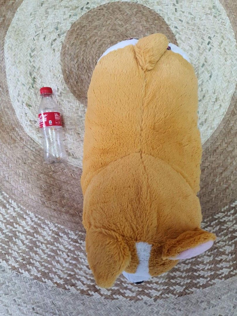 Amuse Ichi Ni No Corgi with tag Hobbies Toys Toys Games on Carousell