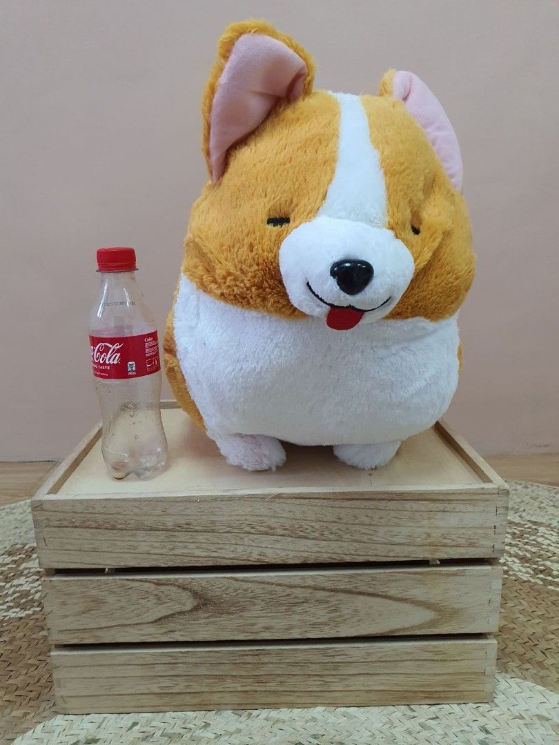 Ichi Ni no Corgi Dog Plush Collection (Big): Amuse - Tokyo Otaku Mode (TOM)