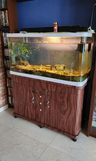 (Category: ) located in . Submitted by terranova (Listing ID 1249439018, Image 1). Description: .