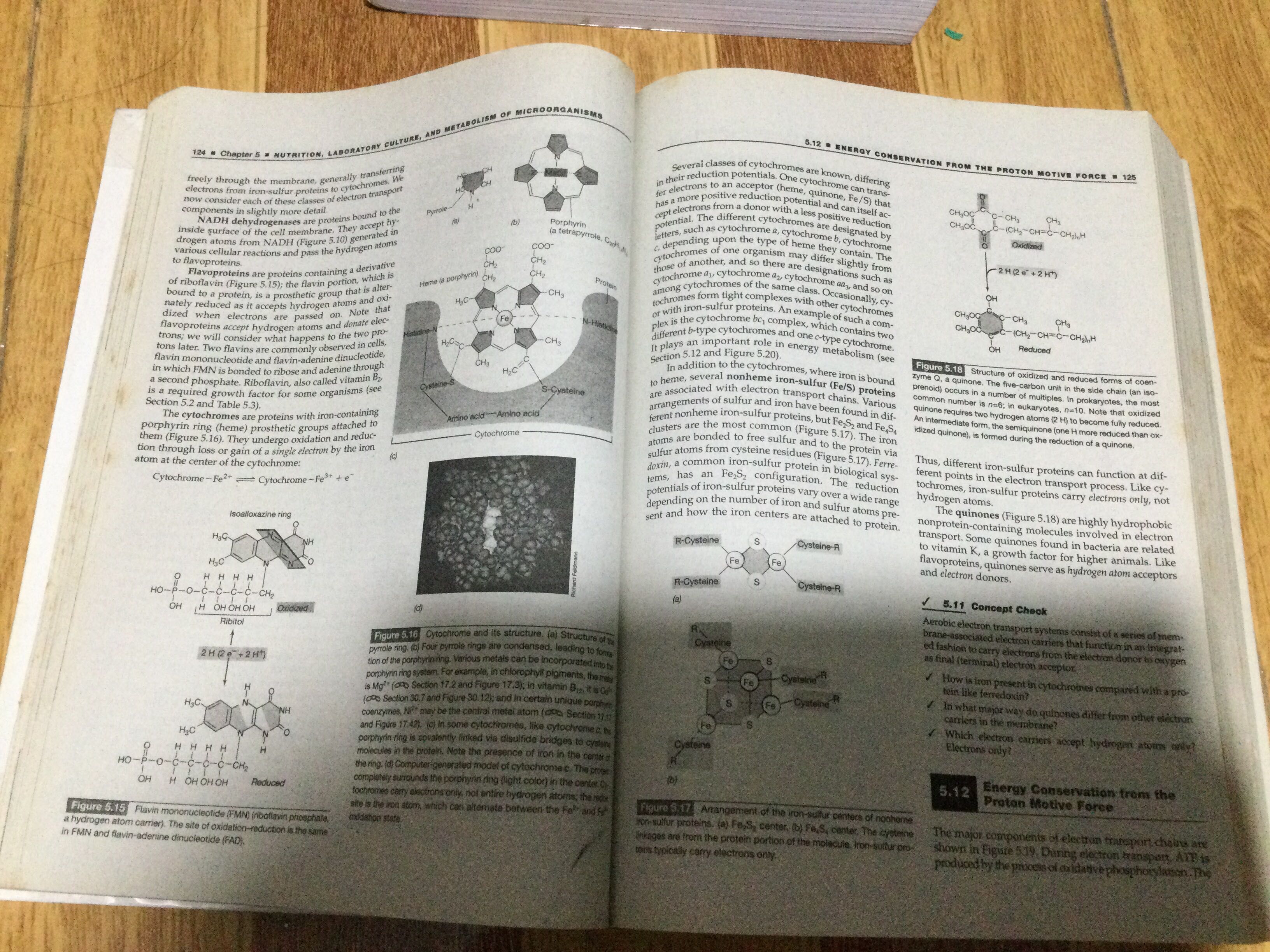 Brock biology of microorganisms 10th edition by michael madigan, john