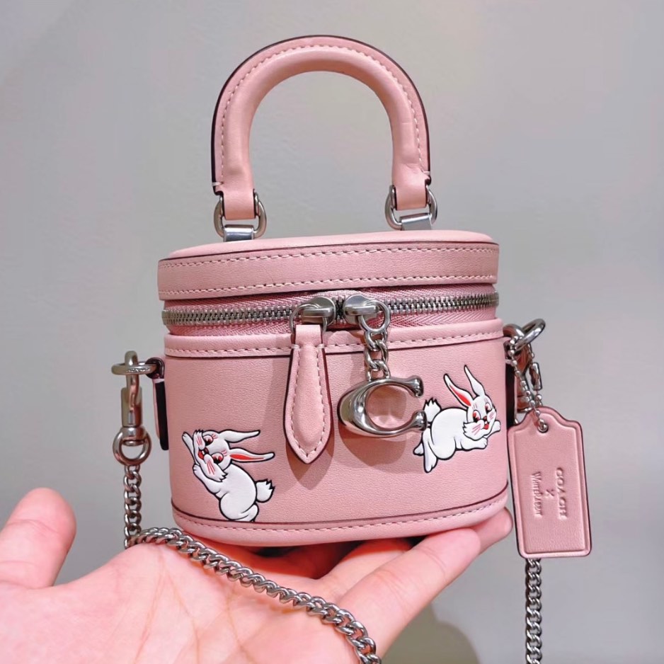 Coach best sale pig bag