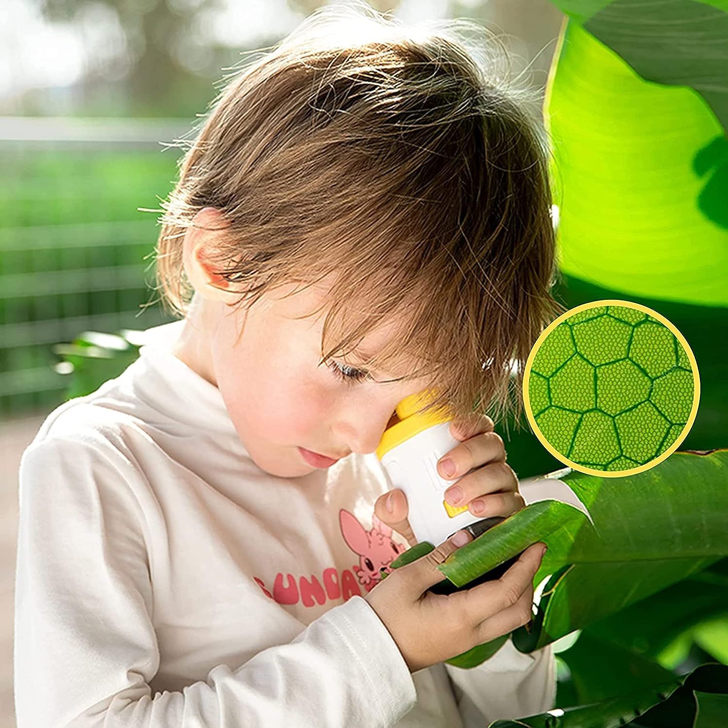 Fistech Detachable Microscope for Kids, Preschool Education STEM ...