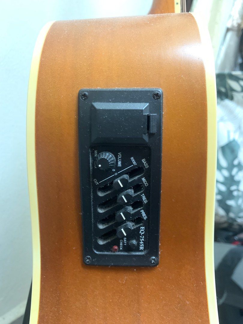 Frederick Martinez Acoustic Guitar Light wood plug in