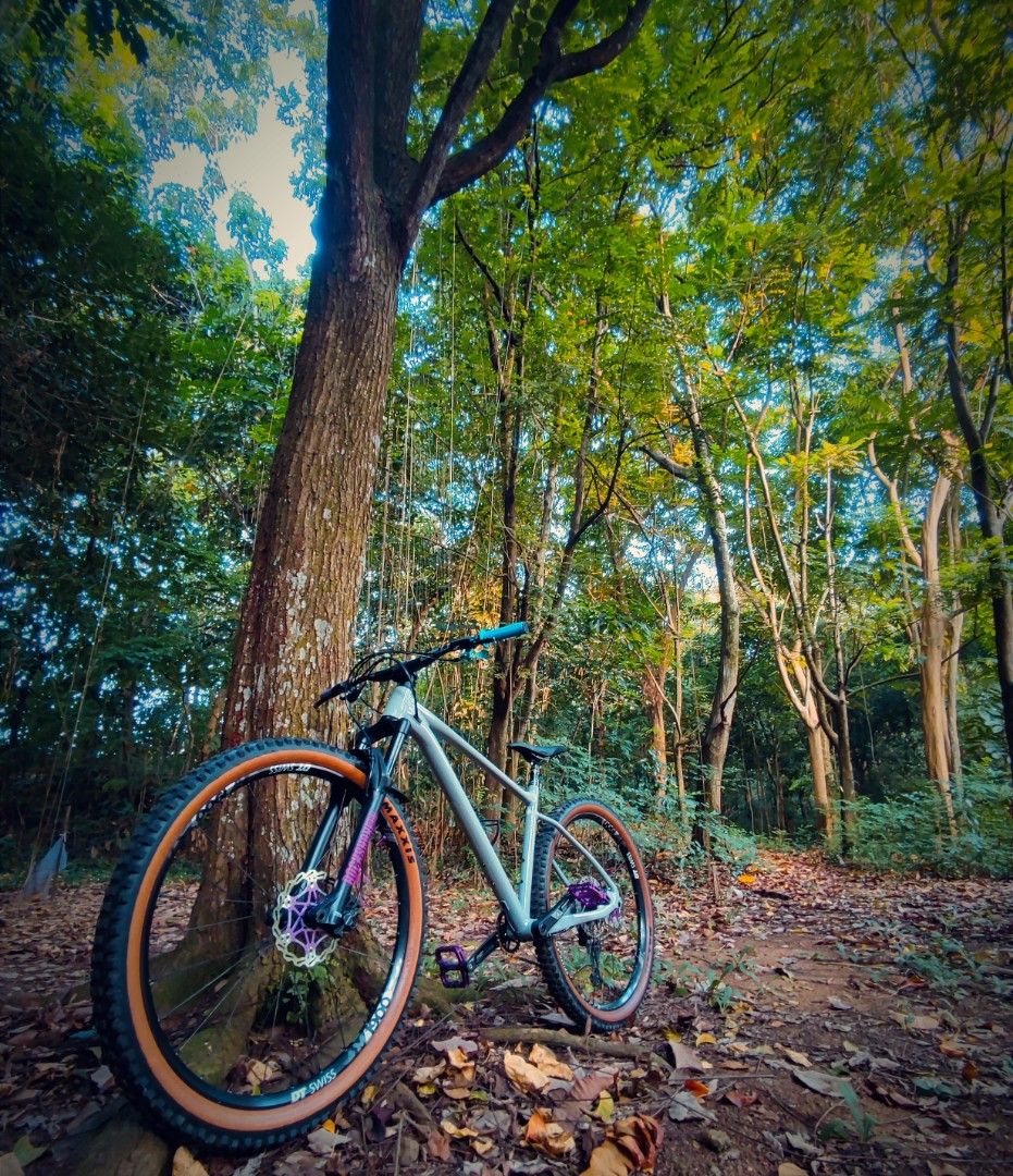 Giant Fathom 2 Hardtail 29er Sports Equipment Bicycles Parts Bicycles on Carousell