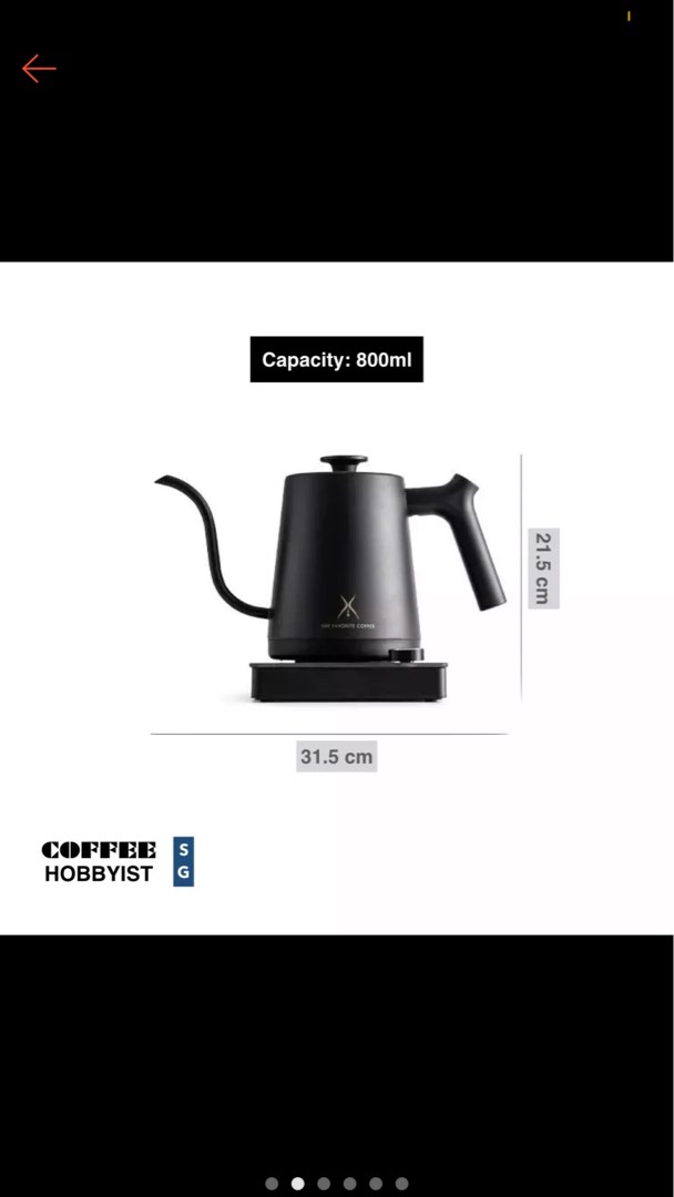Gooseneck electric kettle with temperature control, TV & Home