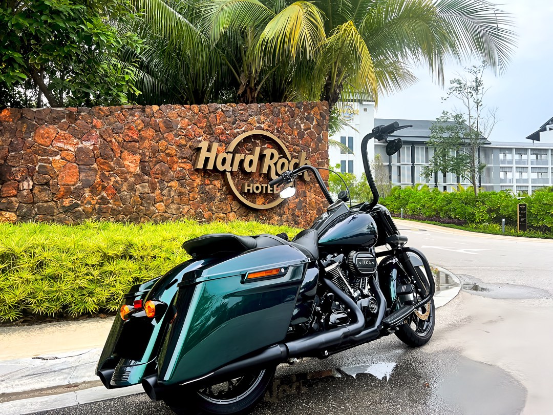 2022 Harley Davidson Road King Special Snake Venom