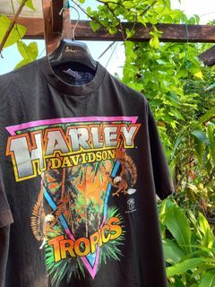 Harley Davidson Tropics
