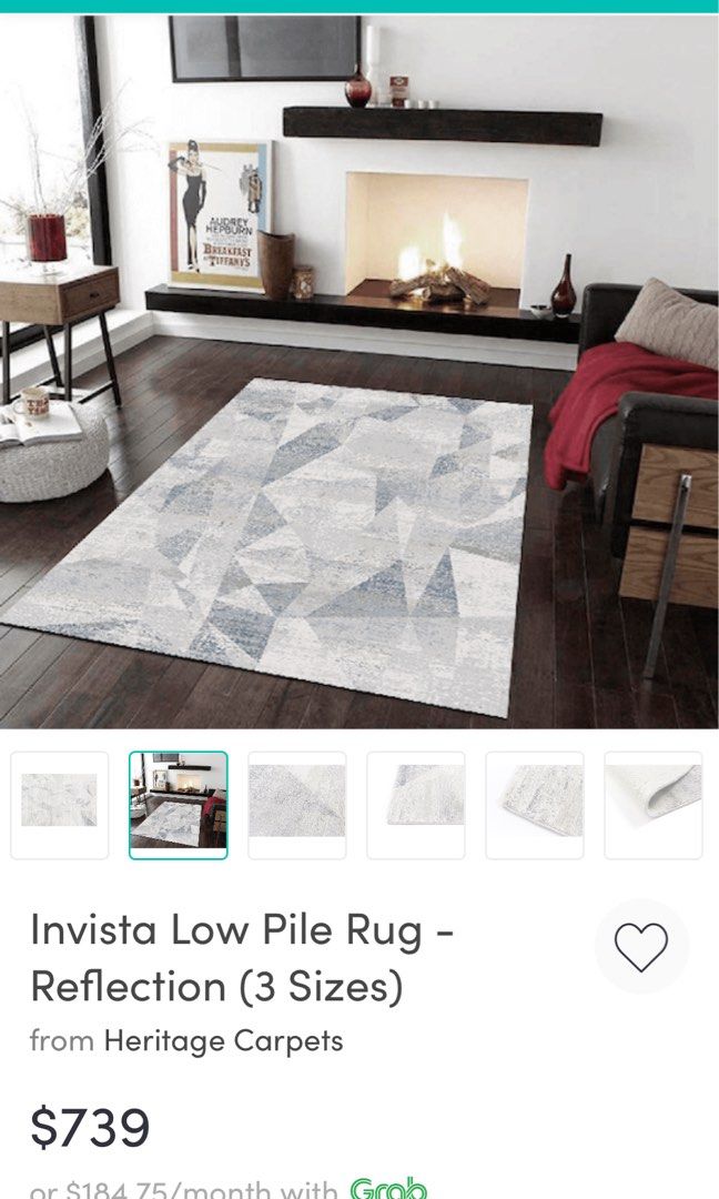 Invista Low Profile Carpet 2.9x2M, Furniture & Home Living, Home Decor