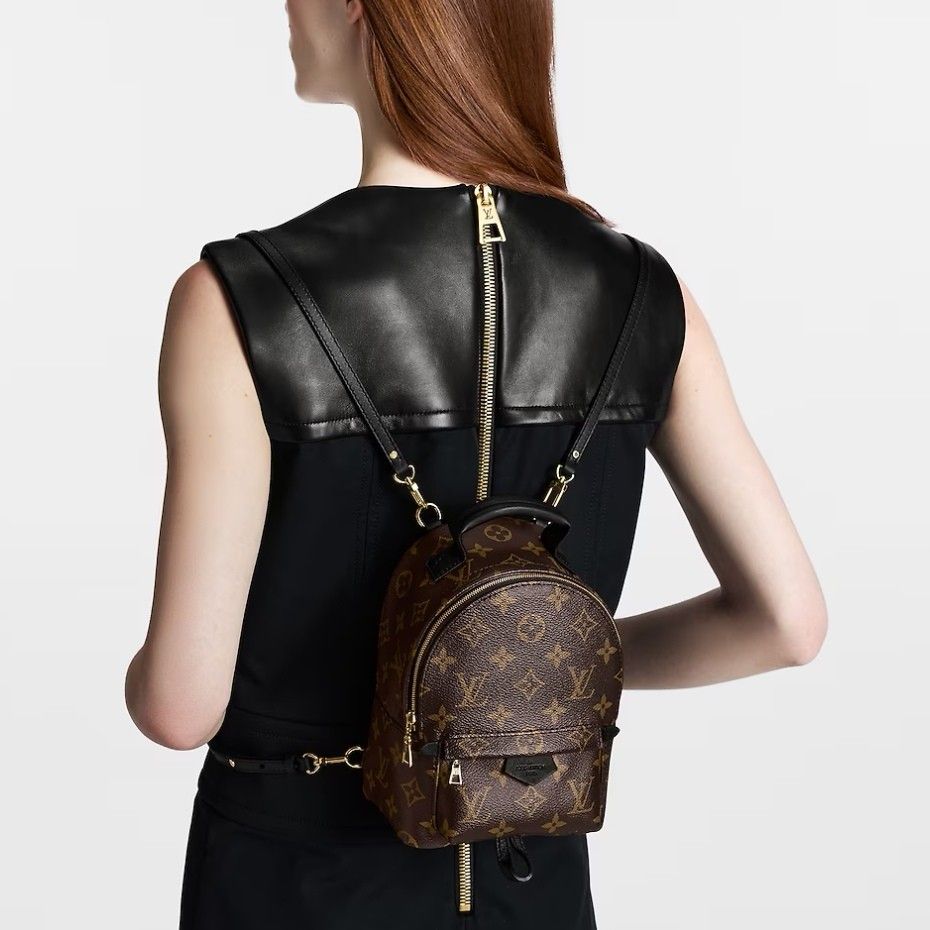 Palm springs leather backpack Louis Vuitton Brown in Leather