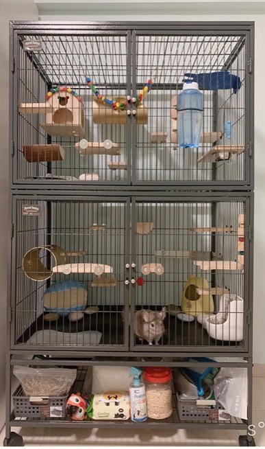 Midwest ferret sale cage
