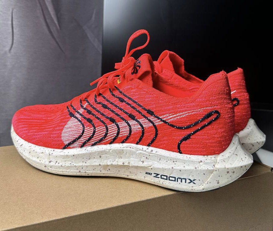 Pegasus turbo or zoom sales fly flyknit