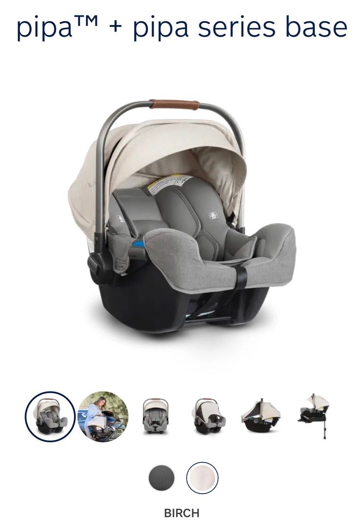 Nuna pipa birch sale