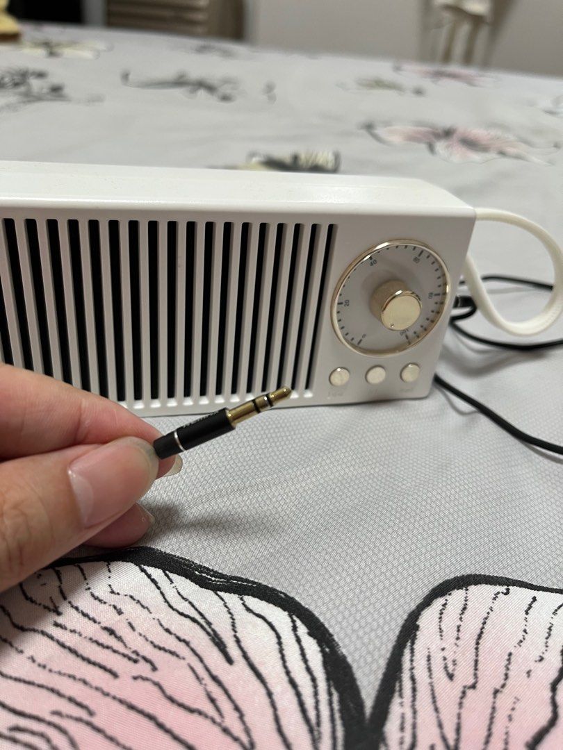 Portable wire speaker63846887462018110