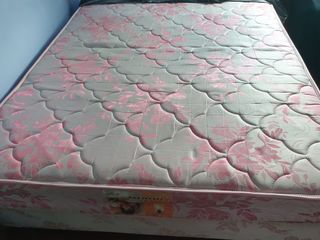 (Category: ) located in . Submitted by mrdgupta (Listing ID 1249373489, Image 1). Description: .