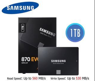Samsung SSD 870 Evo (1TB)