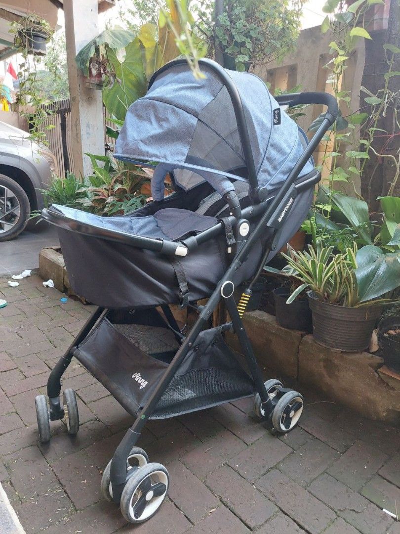 Babydoes koala 2025