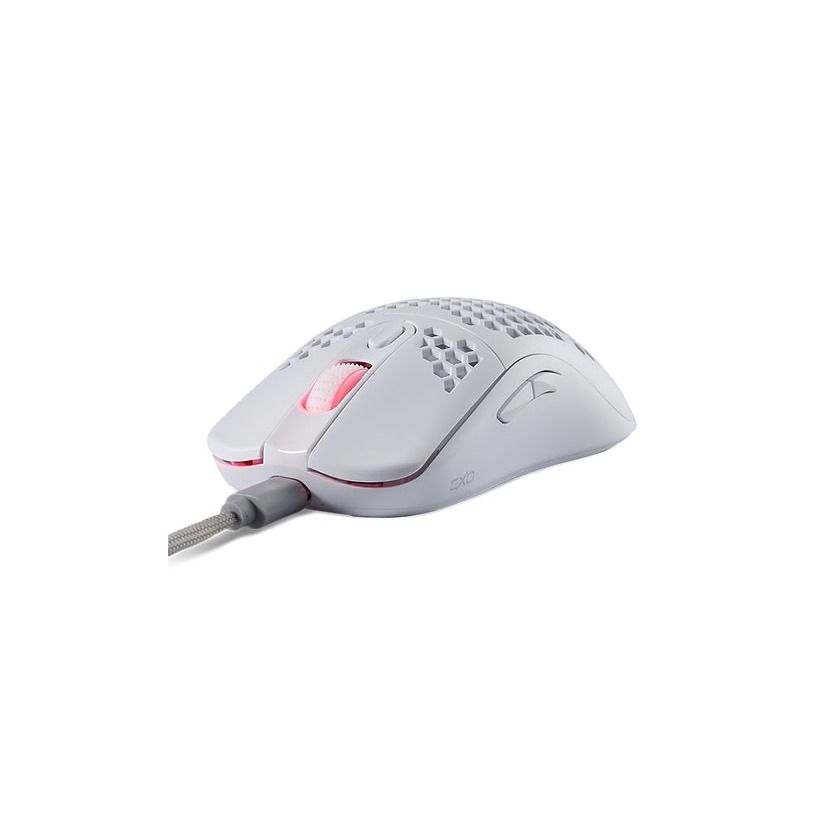 TECWARE EXO L+ 12K DPI RGB / EXO WIRELESS 16K DPI - LIGHTWEIGHT GAMING ...