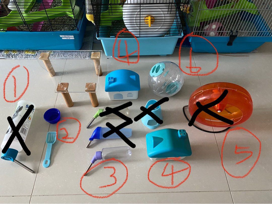 Silent hamster deals water bottle