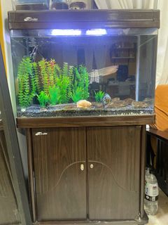 (Category: ) located in . Submitted by dannn693 (Listing ID 1249542415, Image 1). Description: .