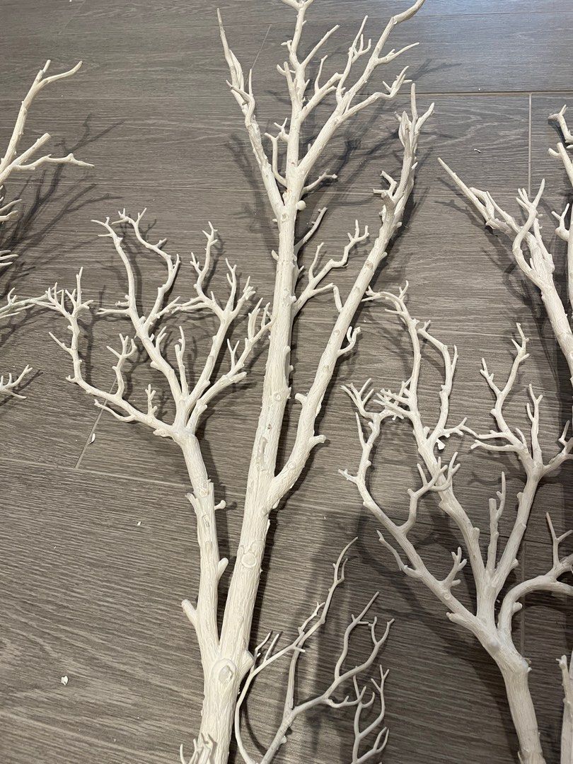 5 x winter white birch tree, Furniture & Home Living, Home Decor