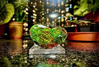 Heart-shaped Ammolite with Flower Pattern64224129118593110