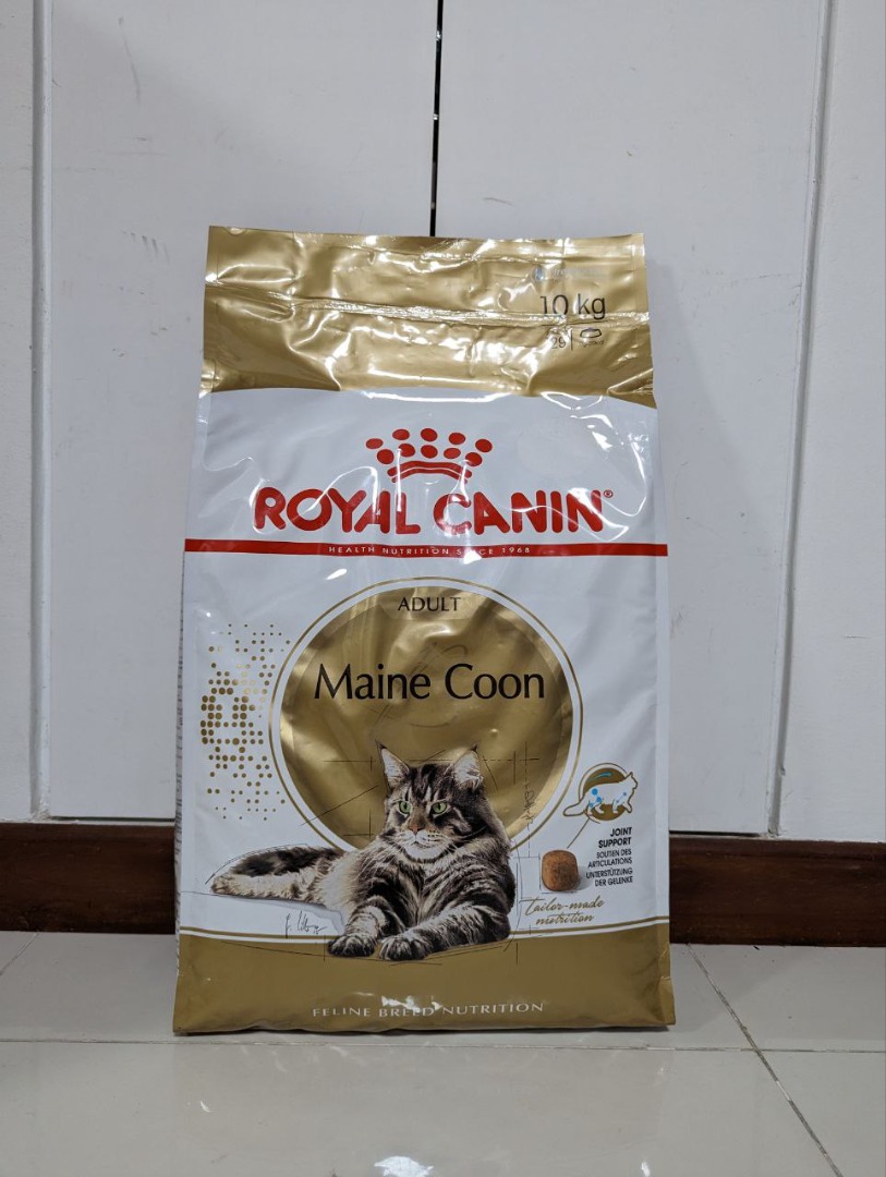 Maine coon royal canin 10 kg clearance
