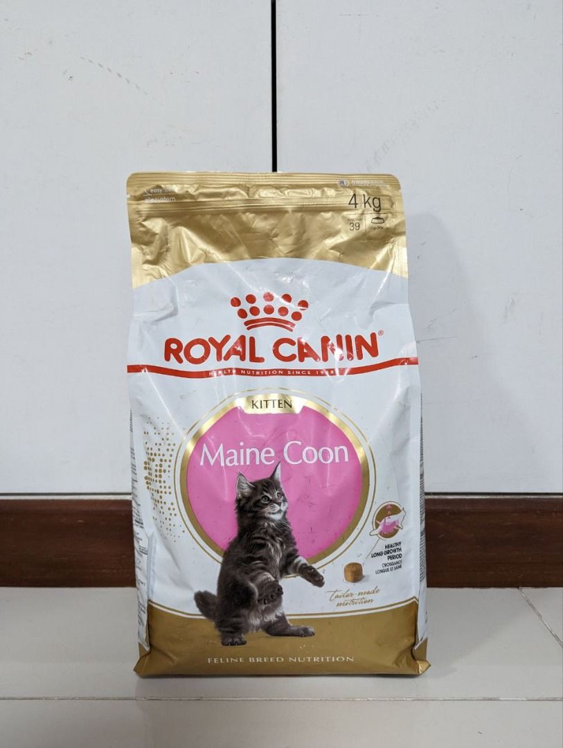 Royal canin maine coon kitten outlet 4 kg