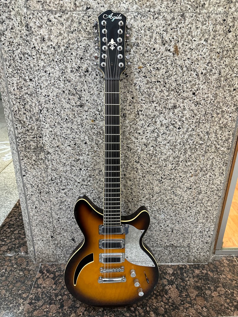 Agile Rickenbacker Style 12 String Electric Hobbies Toys Music
