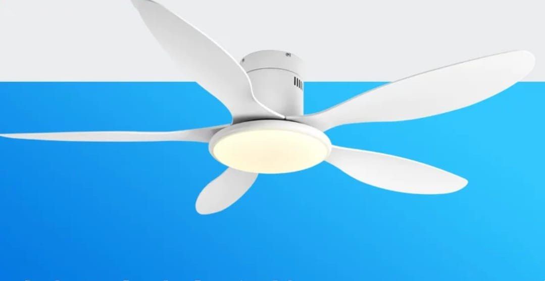 Ceiling Fan / Ceiling Fan with light64885253154179115