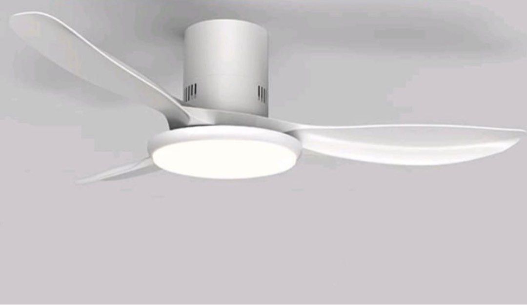 Ceiling Fan / Ceiling Fan with light64885253154179113