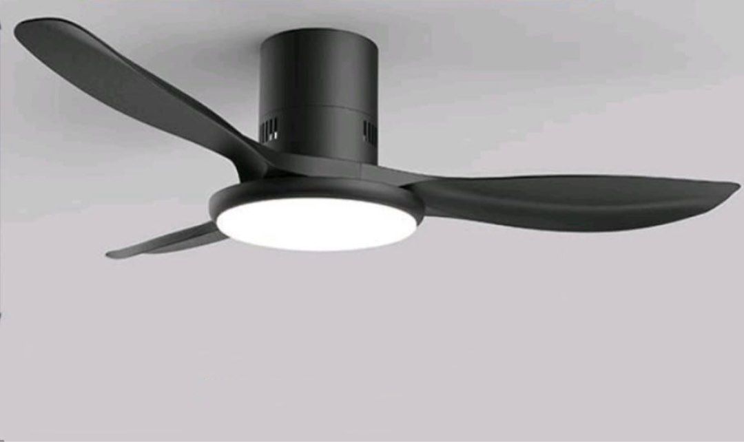 Ceiling Fan / Ceiling Fan with light64885253154179112