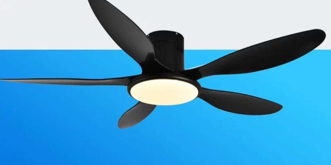 Ceiling Fan / Ceiling Fan with light64885253154179114