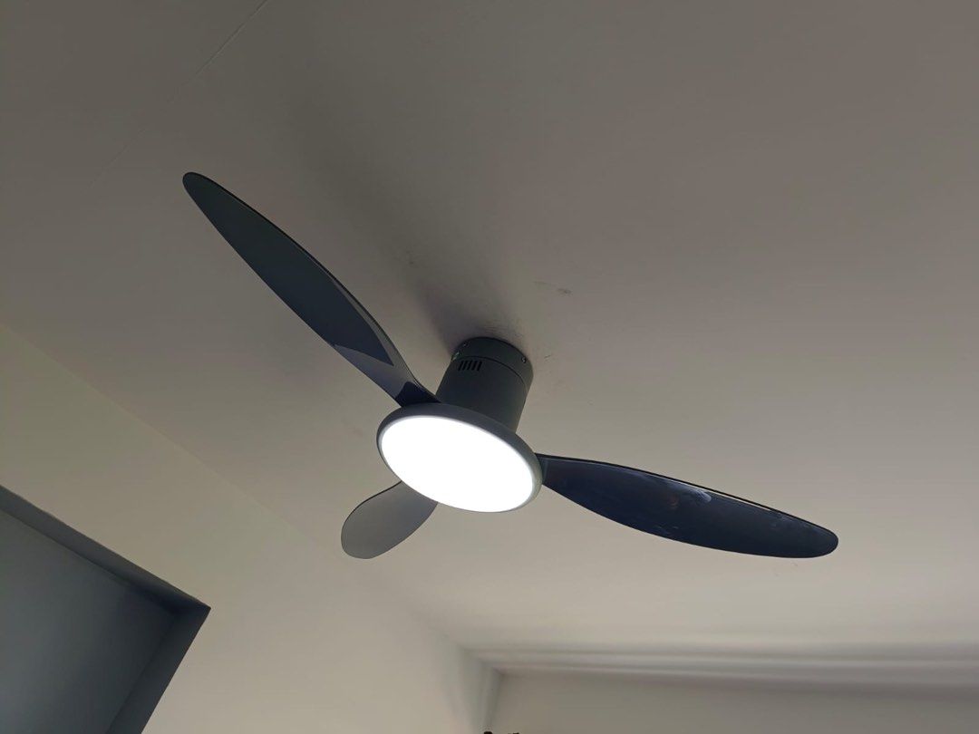 Ceiling Fan / Ceiling Fan with light64885253154179116