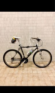 Explorer Vintage Mountain bike
